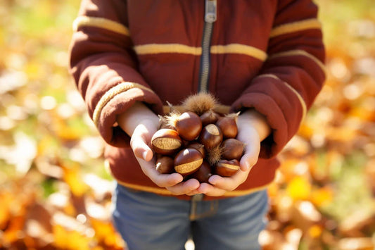 Unlocking chestnut season: From harvest to tasty recipes