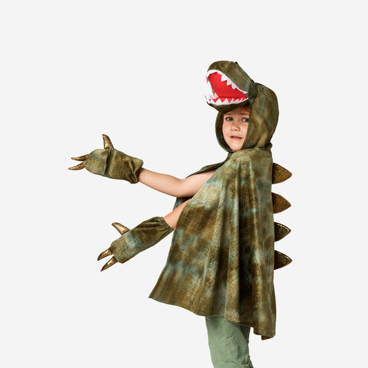 Dress Up With Sleeves Dinosaur 4-8 Years