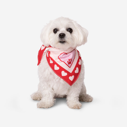 Dog Bandana Red White