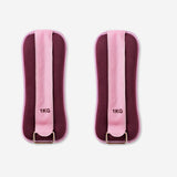 0376-FTIC01263068415-2