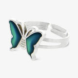 0376-FTIC01263068703-2