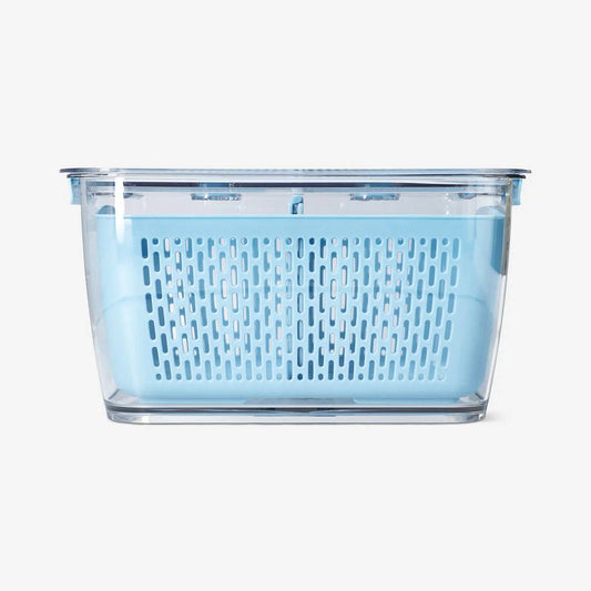 Container With Strainer For Fridge Large