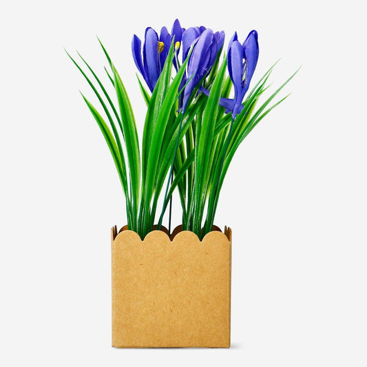 Deco Grass With Flower Purple Crocus(In)