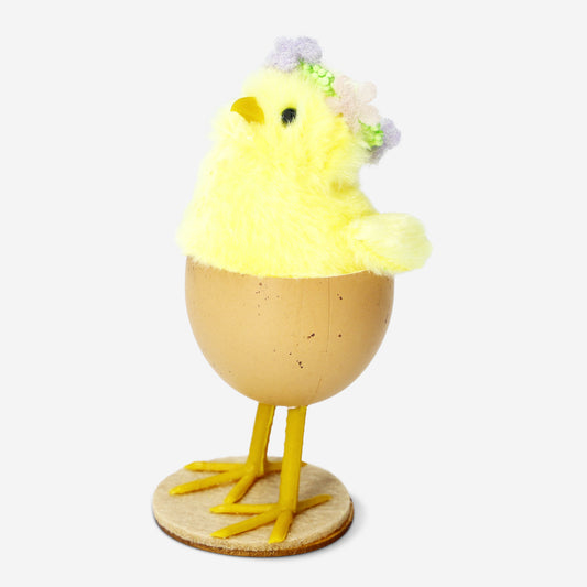 Chicken In Eggshell Yellowith Small