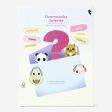 Stationery Kit Surprise