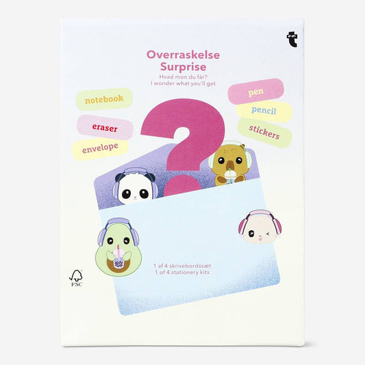 Stationery Kit Surprise