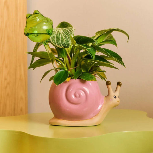 Flowerpot Ceramic As Snail