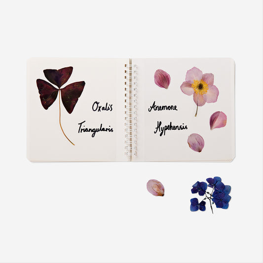 Diy Kit Pressed Flower N Book Wooden(In)