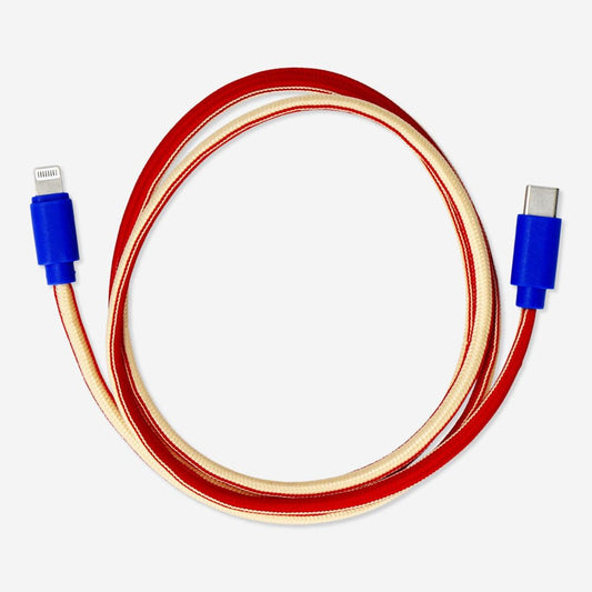 Charging Cable 100 Cm Lightning - Usb-C