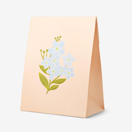 Gift Bag Envelope