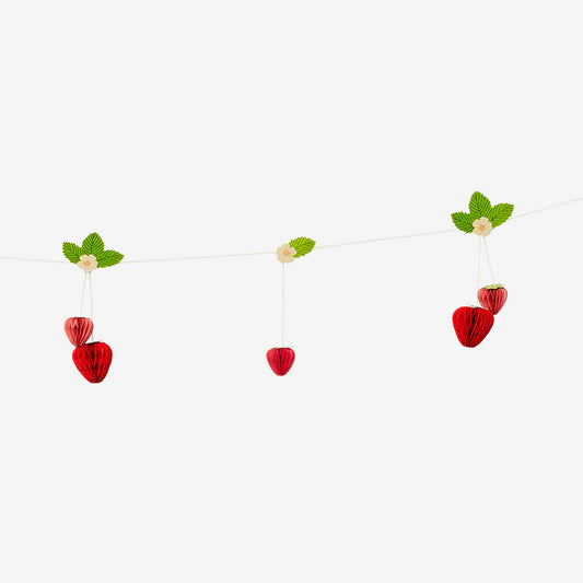 Garland Paper 3D Fold Out Mix Berries 3M