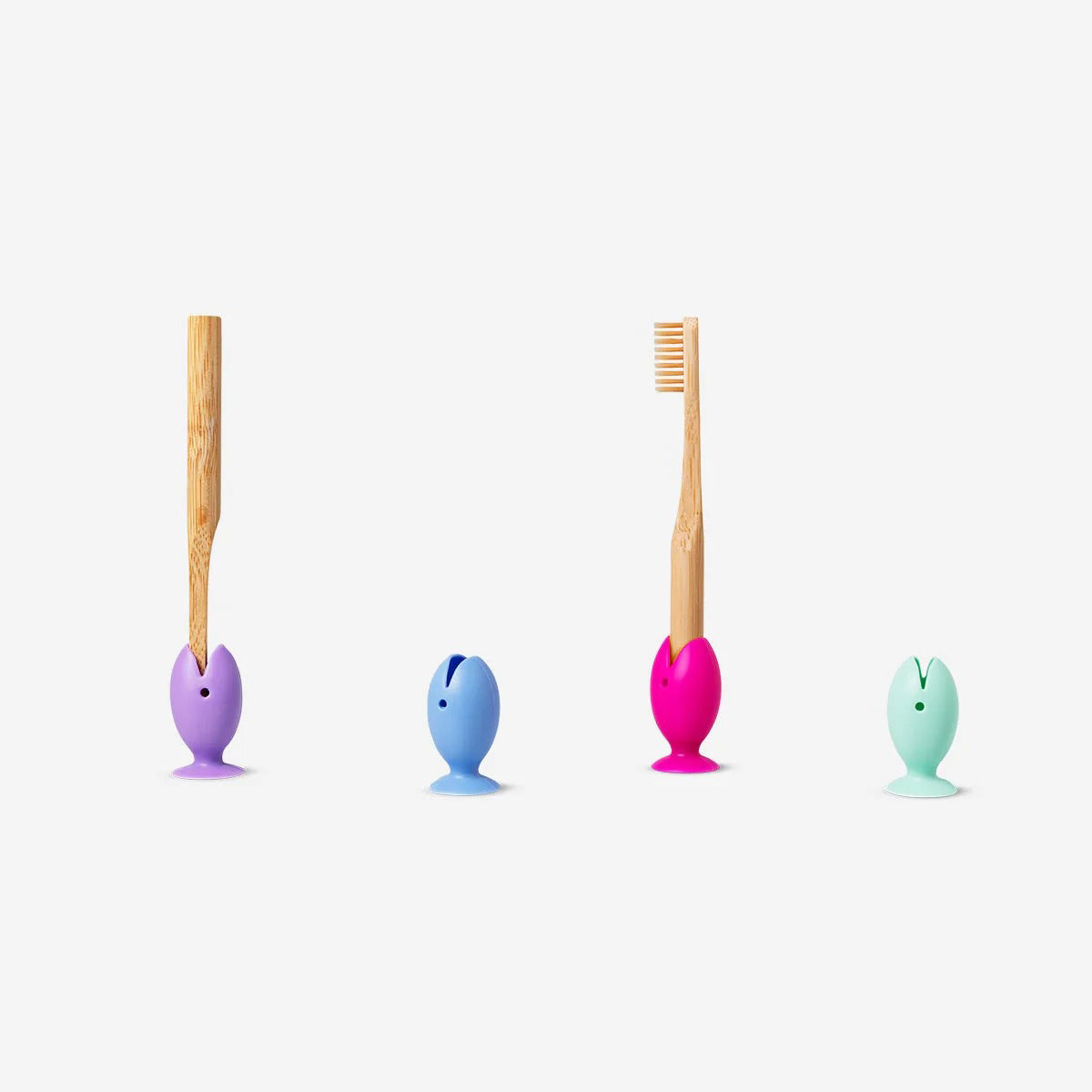 Cover+Holder For Toothbrush 4 Pcs As Fis