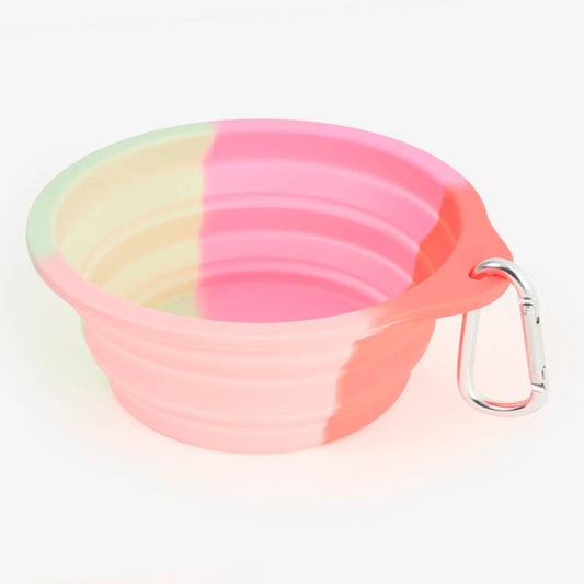 Pet Bowl Adjustable Gradient