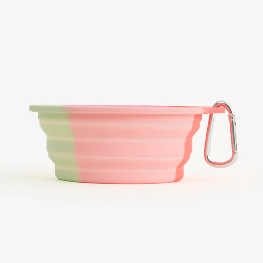 Pet Bowl Adjustable Gradient