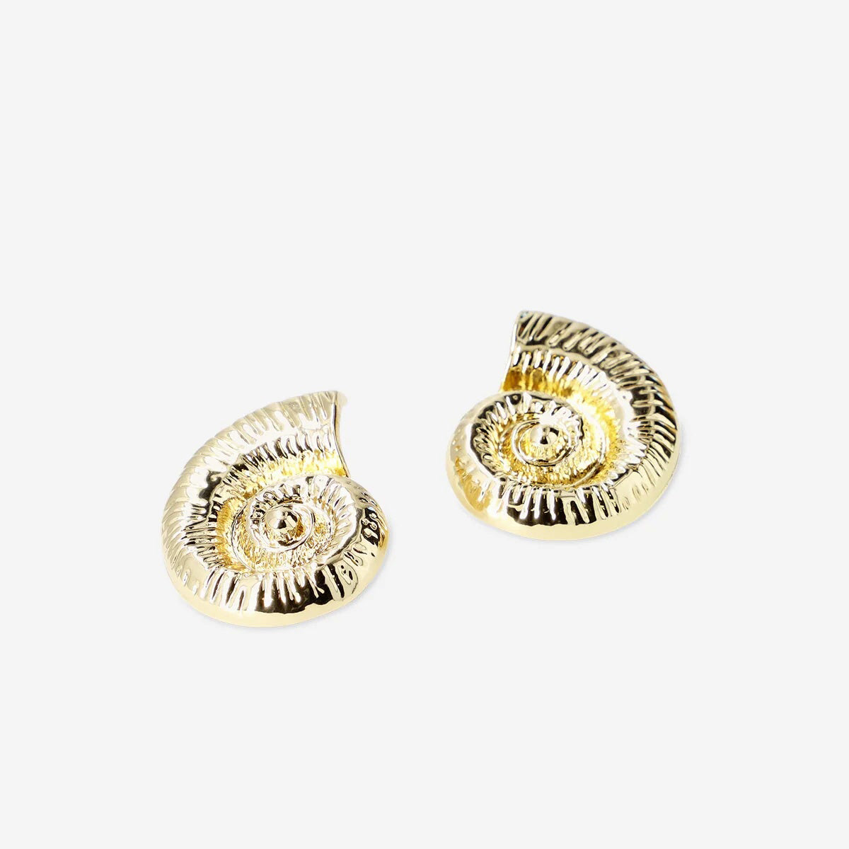 Earrings Giant Shells
