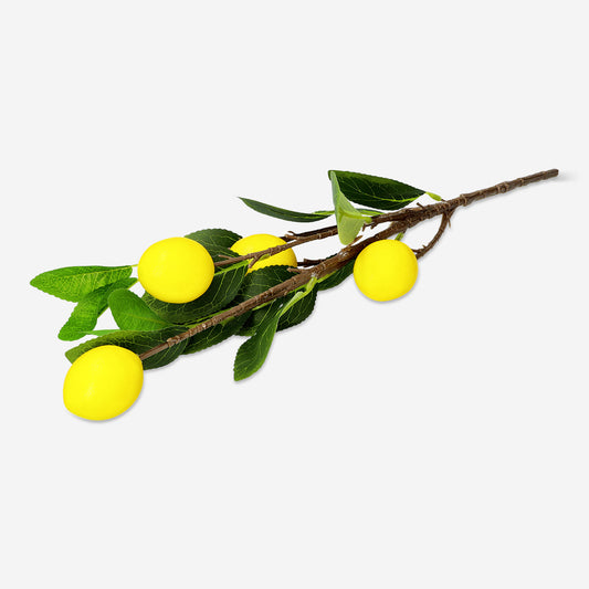 Branch Artificial Lemon