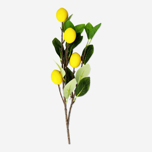 Branch Artificial Lemon