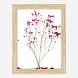 Frame with Dried Flower