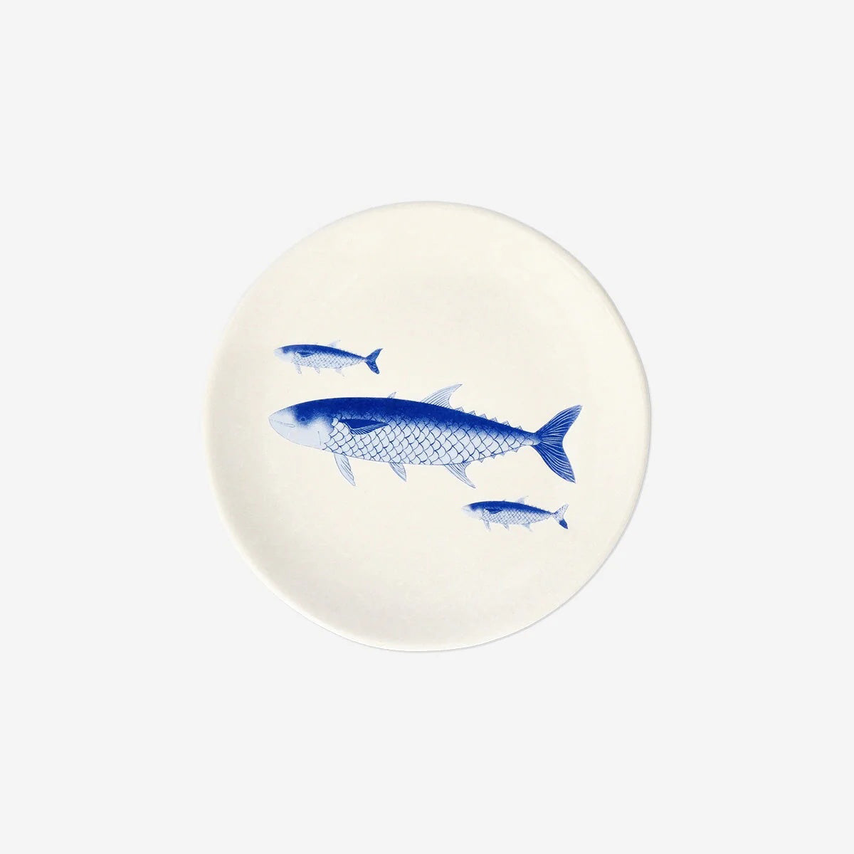 Tray Jewellery Small Printed Fish(In)