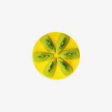 Ice Lollys 6 Pcs Pineapple Box Yellow An