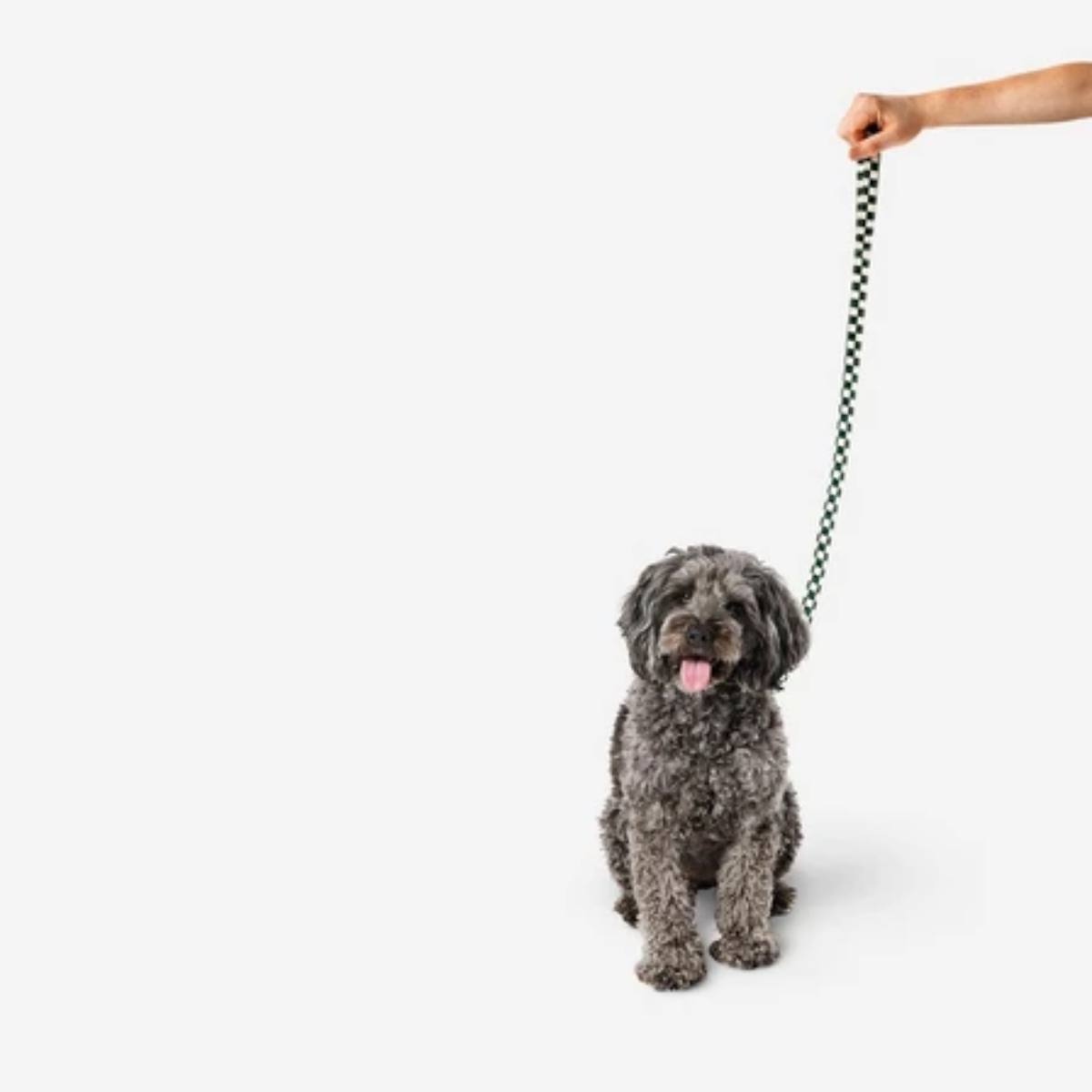 Dog Leash Adjustable Checks