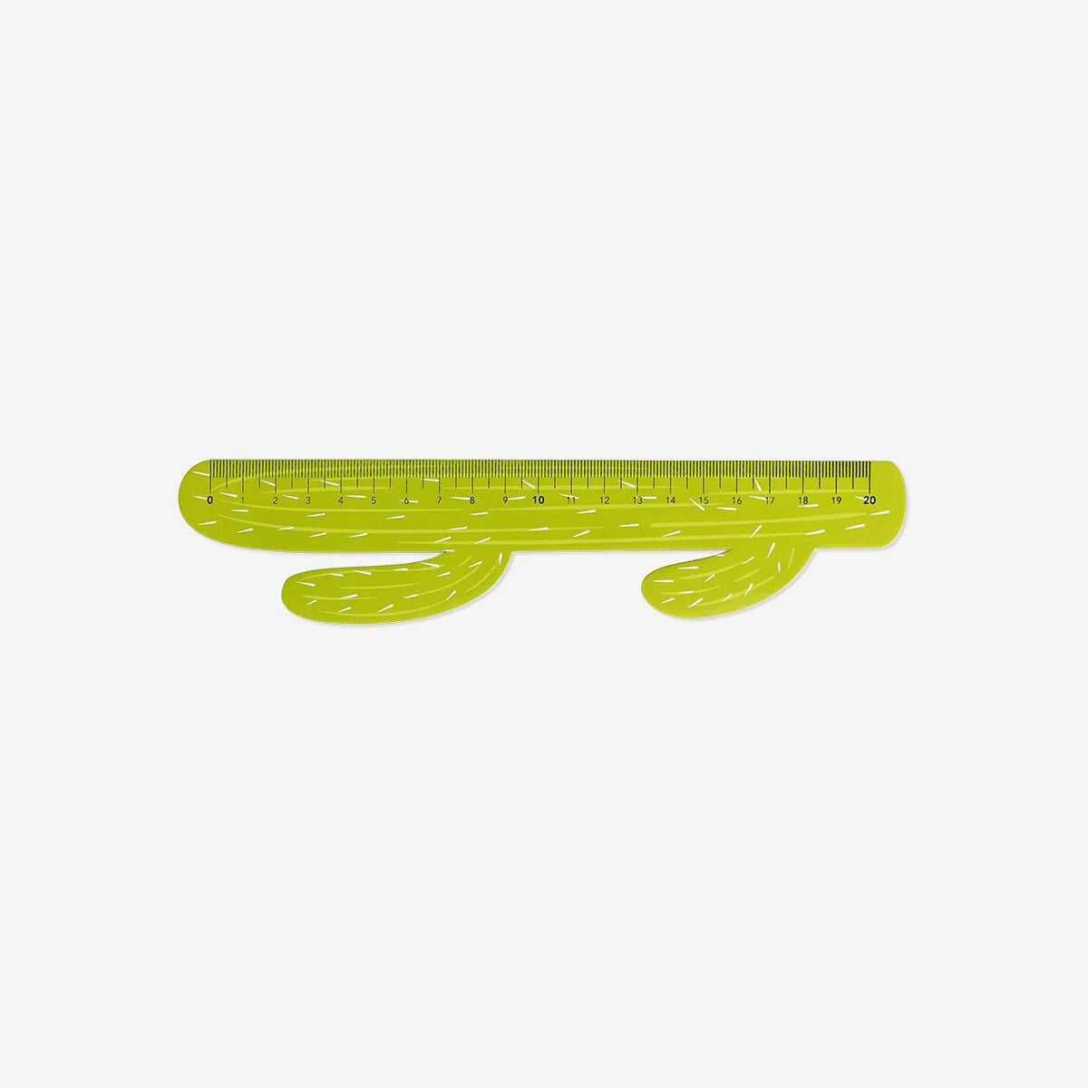 Ruler Cactus