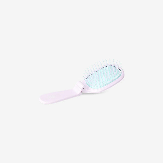 Hairbrush Foldable Cactus W Mirror