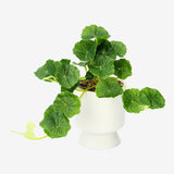 Flowerpot with Artificial Waringin Plant