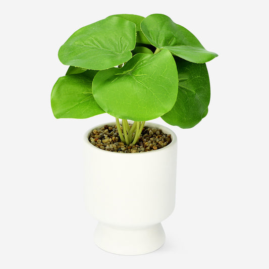 Flowerpot with Artificial Dichondra Plant