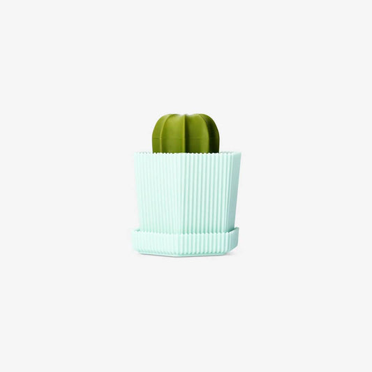 Brush Cleaning In Holder Cactus Shape