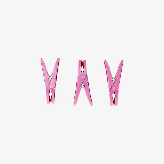 Pegs For Clothing 12 Pcs (In)