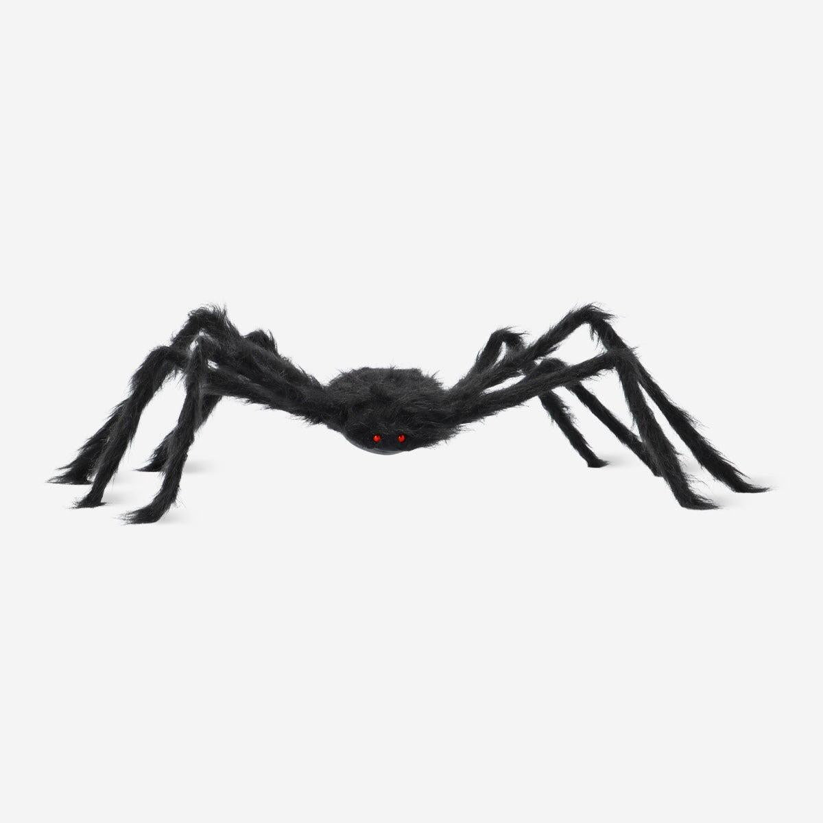 Spider Black 80 Cm