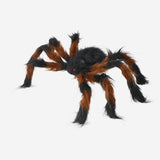 Spider Brown 50 Cm