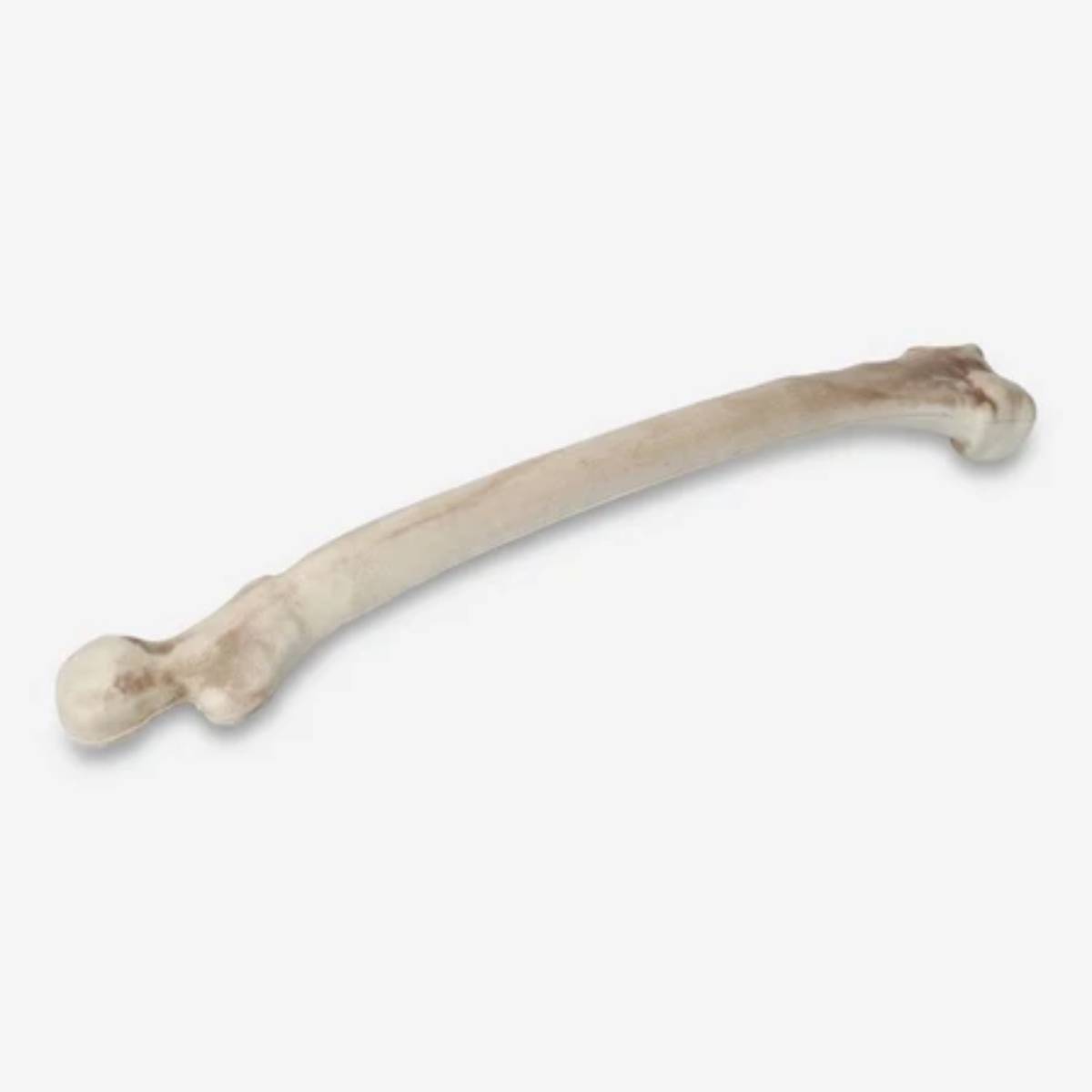 Pinata Bone Stick - 50 cm