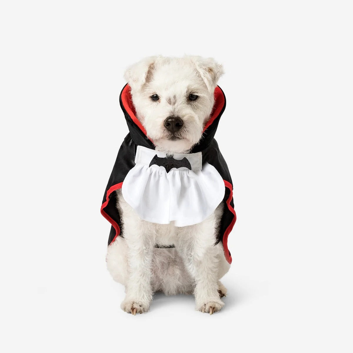 Pet Dress Up Dracula