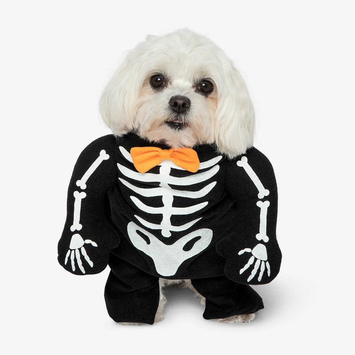 Pet Dress Up Skeleton