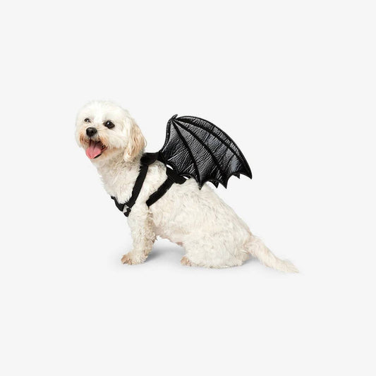 Pet Dress Up Bat Wings