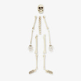 Skeleton Bone Set