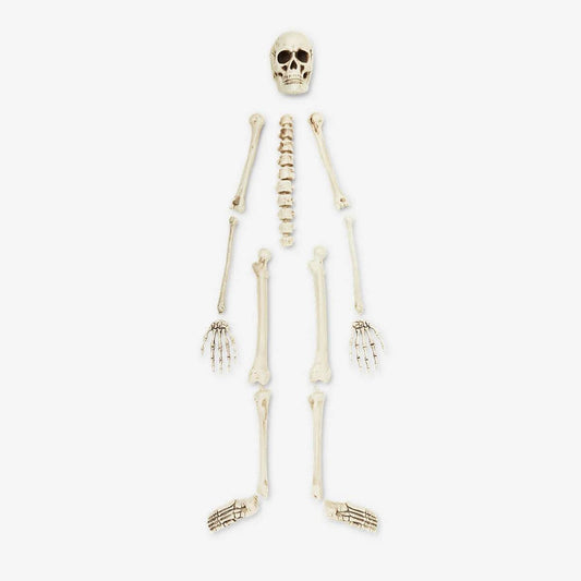 Skeleton Bone Set