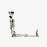Skeleton Decoration Set Hanging