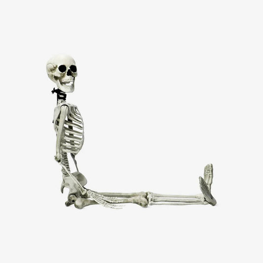 Skeleton Decoration Set Hanging