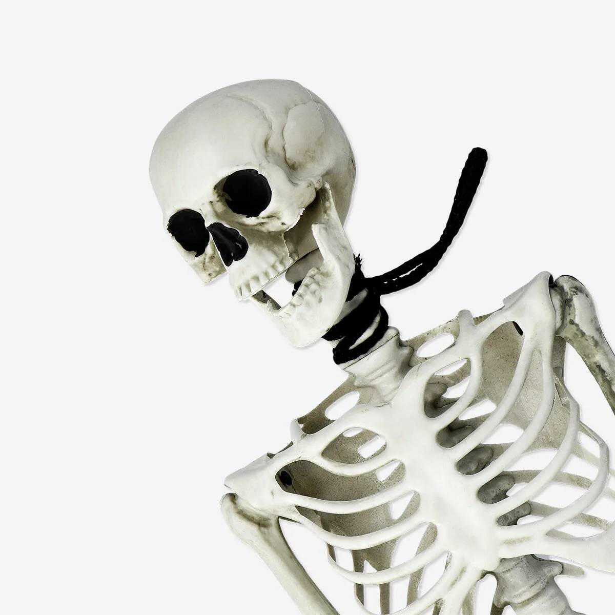 Skeleton Decoration Set Hanging