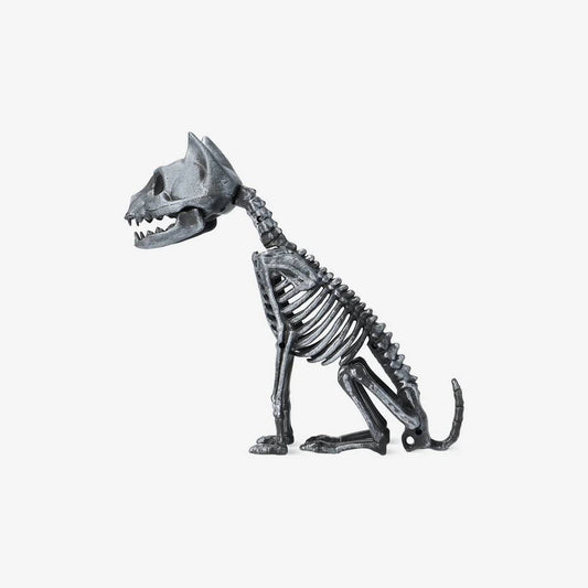 Skeleton Cat