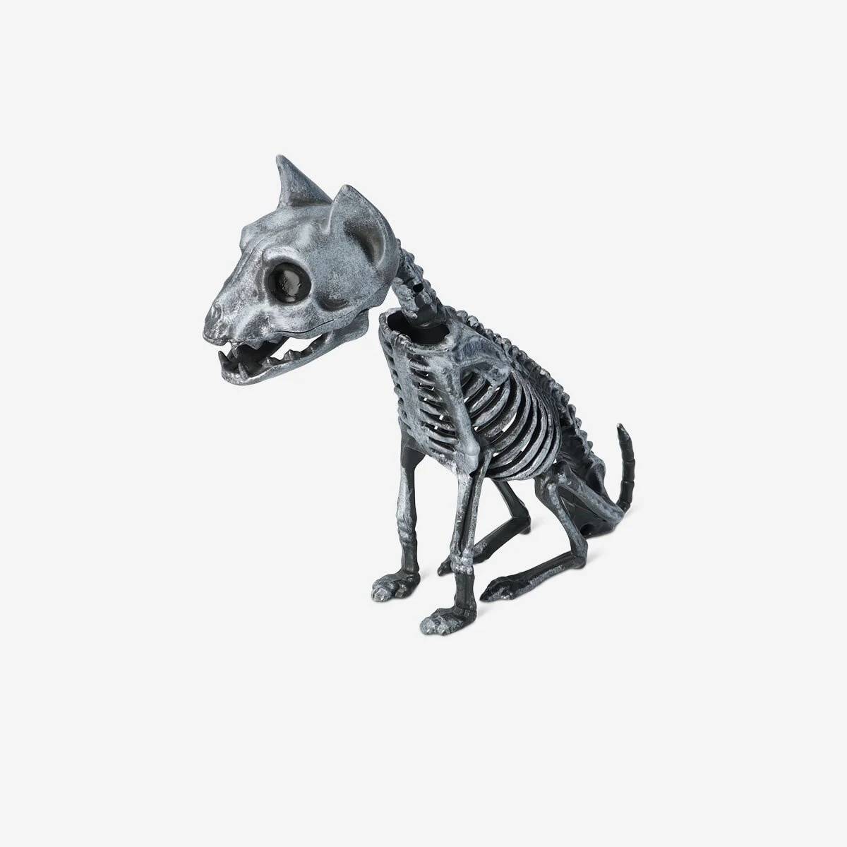 Skeleton Cat