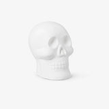 Diy Diamond Art 3D Skull