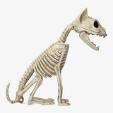 Skeleton Cat