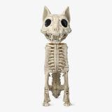 Skeleton Cat