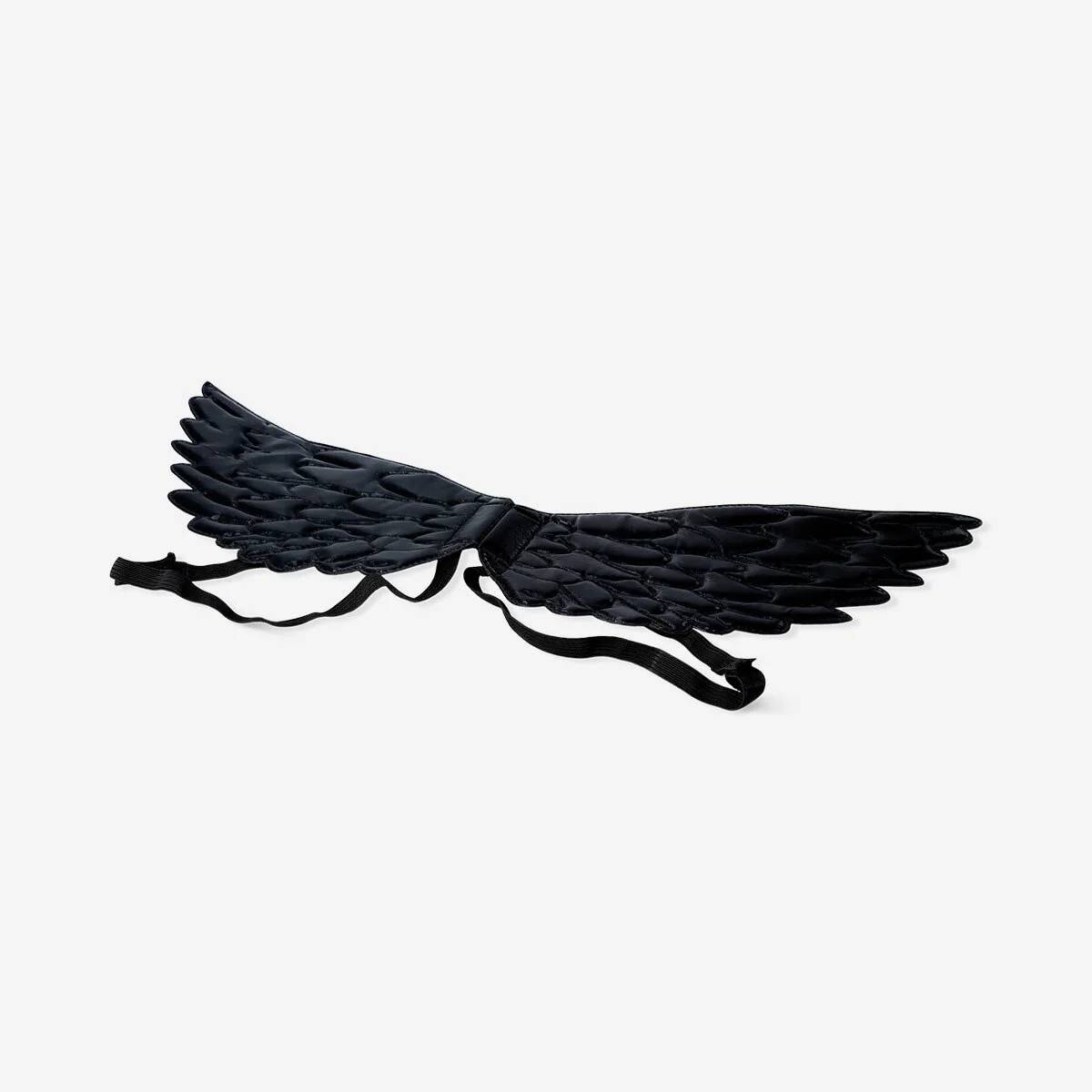 Dress Up Wings Halloween Kids 4-8 Years