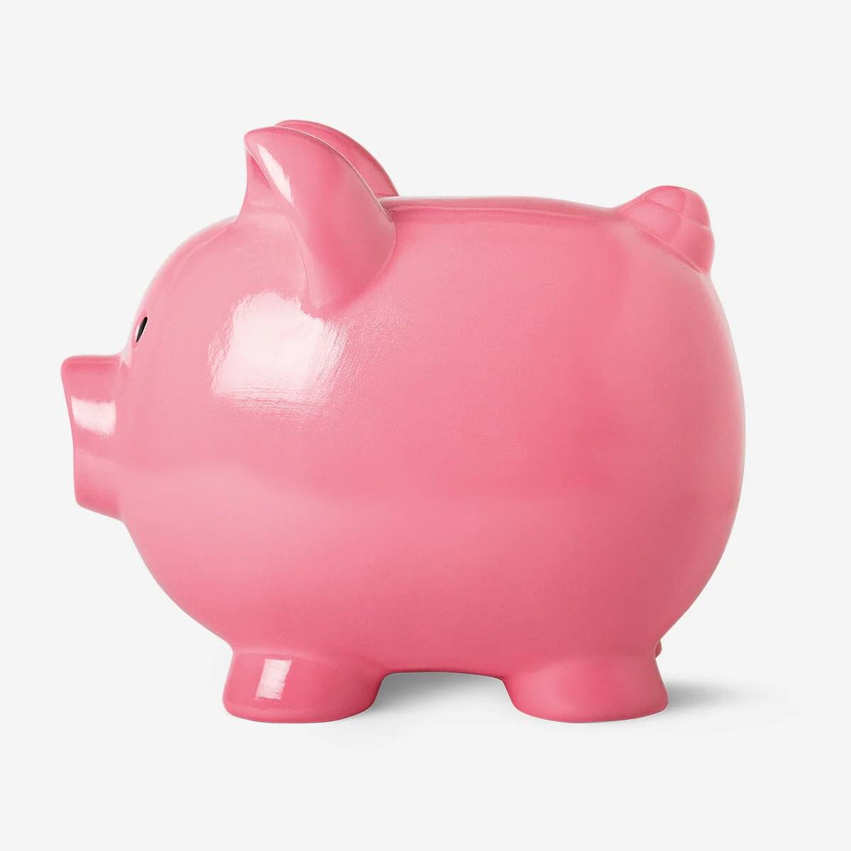 Money Bank Pig Giant Pink