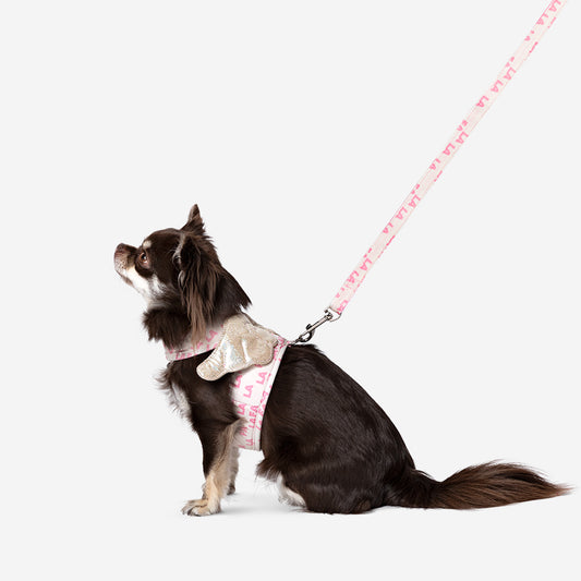 Dog Harness Vest With Leash